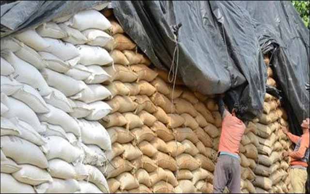  تنگوانی: مختلف دکانوں پر چھاپے، بڑی تعداد میں گندم کی بوریاں برآمد
