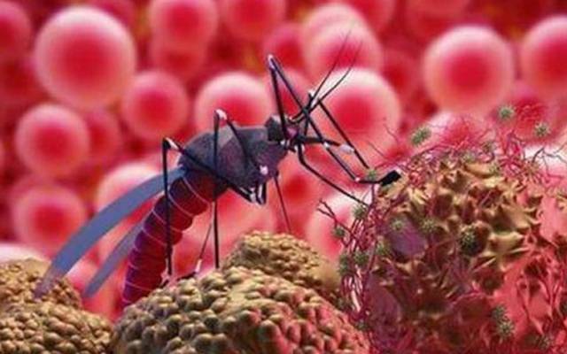  ڈینگی اور ملیریا جیسی علامات کے لاتعداد مریض سامنے آئے ہیں۔ پراسرار وائرس سے لاحق ہونے والا یہ مرض تیزی سے پھیل رہا ہے۔