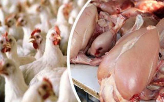  برائلر مرغی کے گوشت کی قیمتوں میں اتار چڑھاؤ  کا سلسلہ جاری ہے۔ لاہور میں برائلر مرغی کے گوشت کی قیمت میں مزید  7 روپے کمی ریکارڈ کی گئی ہے۔     