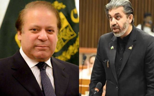  تحریک انصاف کے رہنما علی محمد خان کا نواز شریف کو وطن واپسی پر خوش آمدید کہتے ہوئے کہنا تھا کہ نواز شریف پہلے جیل جاتے پھر انہیں عدالت سے ریلیف ملتی تو ان کا قد بڑھ جاتا۔