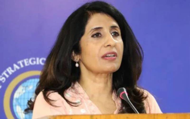 پاکستان نے فلسطین میں غیر مشروط جنگ بندی کا مطالبہ کردیا 