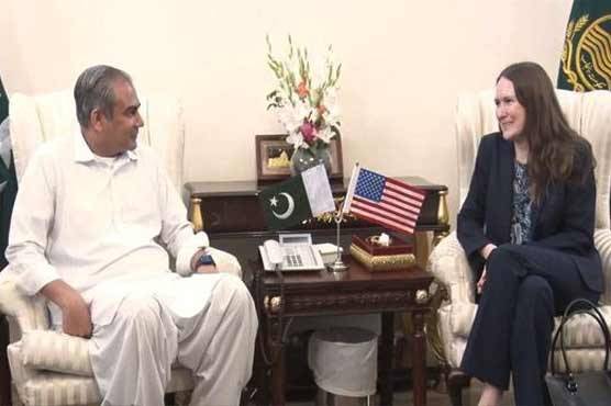 محسن نقوی سے امریکی قونصل جنرل کی ملاقات، اہم امور پر تبادلہ خیال