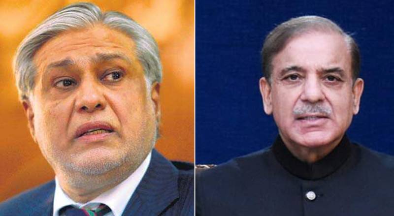 شہباز شریف نے اسحاق ڈار کو پارٹی الیکشن سیل کا چیئرمین مقرر کر دیا