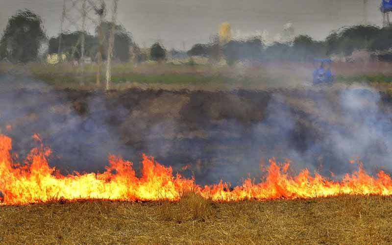 بھارتی سموگ پاکستان کے لیے بڑا خطرہ، ناسا رپورٹ سے ماحولیاتی جارحیت بے نقاب