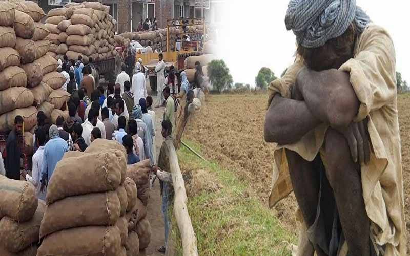 سندھ: بیوپاری سیلاب کے مارے کسانوں کی مجبوری کا فائدہ اٹھانے لگے