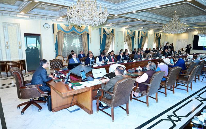 وفاقی کابینہ نے واپڈا افسران کیلئے مفت بجلی کی سہولت ختم کرنے کی منظوری دے دی