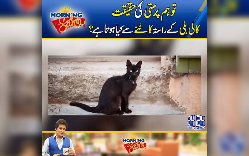 توہم پرستی کی حقیقت ، کالی بلی کے راستہ کاٹنے سے کیا ہوتا ہے؟ مارننگ ود ساہر میں حیرت انگیز انکشافات