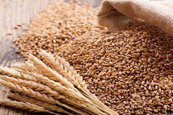 پاکستان نے بھارتی اور اسرائیلی گندم درآمد کرنے پر پابندی عائد کردی