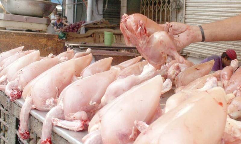 گوشت خوروں کیلئے خوشخبری!! مرغی سستی ہوگئی