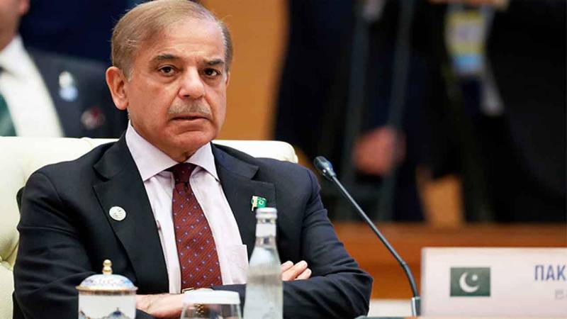  قوم کی توقعات پر ہمیشہ کی طرح پورا اتریں گے: شہباز شریف 
