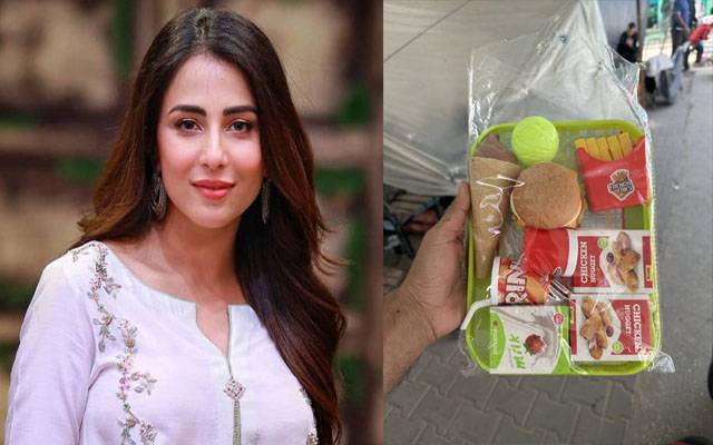 غزہ کے بچوں کو کھانے کی اشیاء والے کھلونے دینے پر اشنا شاہ برہم