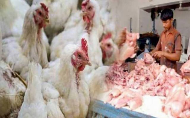 مرغی کے گوشت کی قیمتوں میں اتار چڑھاؤ  کا سلسلہ جاری ہے۔ لاہور میں برائلر مرغی کے گوشت کی مرغی کا گوشت 7 روپے سستا ہو گیا ہے۔
