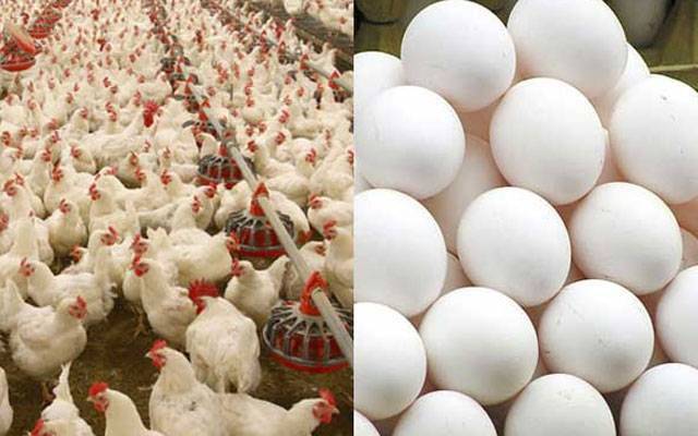 برائلر گوشت کیساتھ انڈوں کی قیمت میں بھی ہوشربا اضافہ 