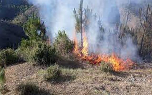 وادی نیلم میں طویل خشک سالی کے باعث جنگلات آگ کی لپیٹ میں آگئے۔