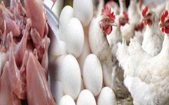 مہنگائی سے پریشان عوام کیلئے بُری خبر،  برائلر مرغی اور انڈوں کی قیمت میں مزید اضافہ ہو گیاہے، مرغی کا گوشت 7 روپے مہنگا ہو گیا۔