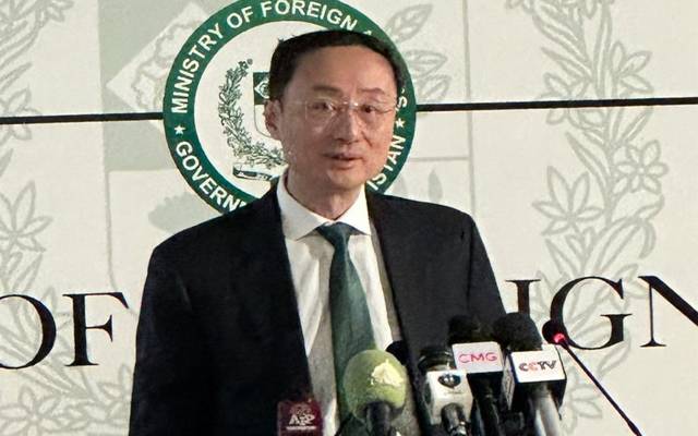 پاکستان کی خودمختاری اور علاقائی سالمیت کی حمایت جاری رکھیں گے، چینی نائب وزیر خارجہ