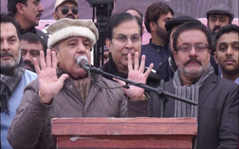 جنوبی پنجاب کے ہر ضلع میں دانش سکول بنائیں گے، میاں شہباز شریف