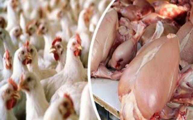 برائلر مرغی کے گوشت کی قیمتوں میں اتار چڑھاؤ  کا سلسلہ جاری ہے۔ لاہور میں برائلر مرغی کے گوشت کی قیمت میں مزید  13 روپے اضافہ ریکارڈ کیا گیا ہے