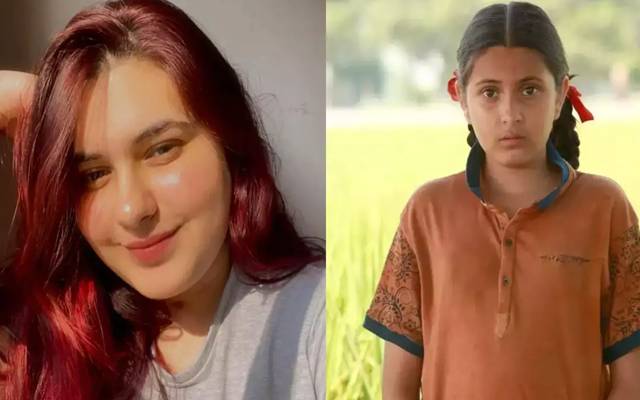 بالی ووڈ اداکارعامر خان کی سُپر ہٹ فلم ‘دنگل’ میں اُن کی بیٹی ببیتا کماری کے بچپن کا کردار ادا کرنے والی اداکارہ سوہانی بھٹناگر 19 سال کی عمر میں چل بسیں۔