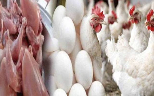 برائلر مرغی کے گوشت کی قیمتوں میں اتار چڑھاؤ  کا سلسلہ جاری ہے۔ لاہور میں برائلر مرغی کے گوشت کی قیمت میں مزید  7 روپے اضافہ ریکارڈ کیا گیا ہے۔