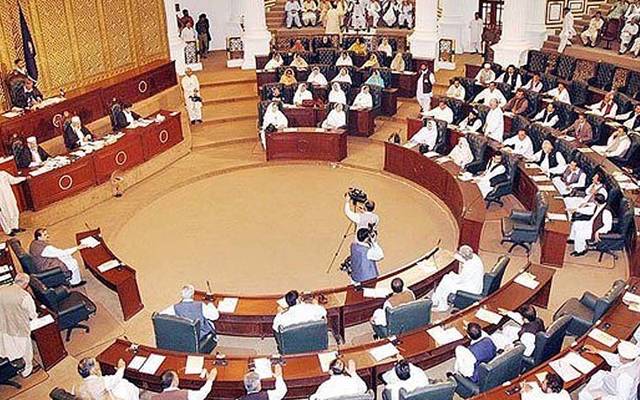 خیبر پختونخوا کی تاریخ میں پہلی مرتبہ 55نئے چہرے صوبائی اسمبلی پہنچ گئے