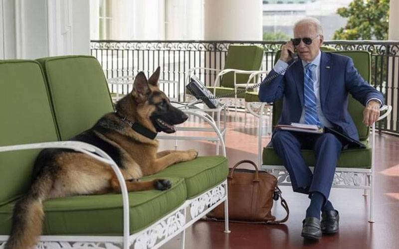 امریکی صدر  کے کتے نے ایجنٹس کو کتنی بار کاٹا؟