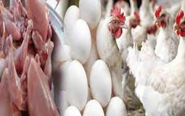  برائلر مرغی کے گوشت کی قیمتوں میں اتار چڑھاؤ  کا سلسلہ جاری ہے۔ لاہور میں برائلر مرغی کا گوشت 18روپے سستا ہو گیا ہے۔ 