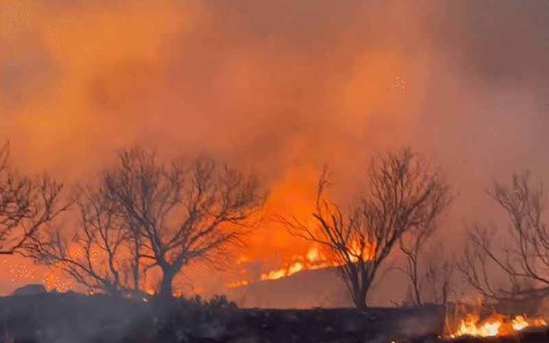 امریکی ریاست ٹیکساس کے جنگلات میں لگی آگ تاریخ کی دوسری بڑی آگ قرار 