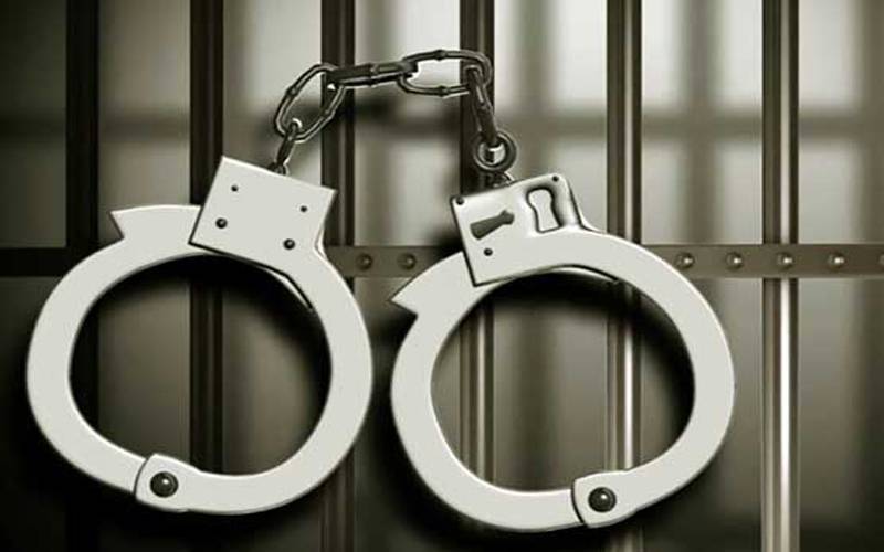  تحریک انصاف کی رہنما عالیہ شہزاد لاہور ایئرپورٹ سے گرفتار 