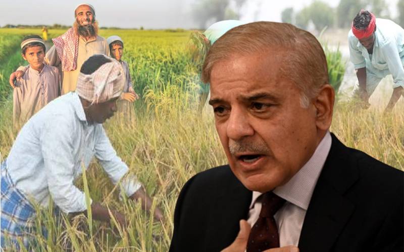 سبسڈی پر کھاد فیکٹریوں کے بجائے براہ راست کسان کو دی جائے گی:شہباز شریف 