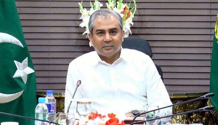 مسلم لیگ ن اور پیپلز پارٹی کا بڑا فیصلہ، محسن نقوی سینیٹ کا الیکشن لڑیں گے