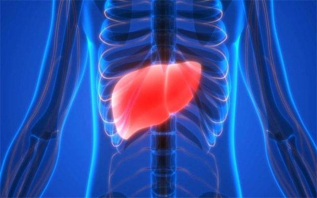 جگر کو صحت مند رکھنے کن غذاؤں کا استعمال کرنا چاہیے؟