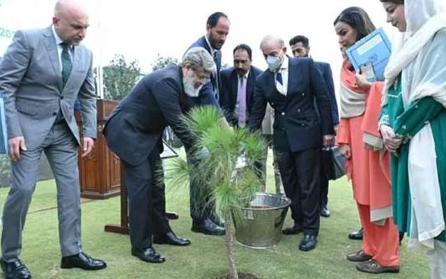 شجرکاری مہم 2024 کا آغاز