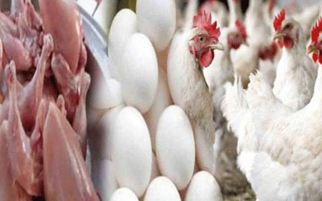 برائلر مرغی کے گوشت کی قیمتوں میں اتار چڑھاؤ  کا سلسلہ جاری ہے۔ لاہور میں برائلر مرغی کے گوشت کی قیمت میں مزید  32 روپے اضافہ ریکارڈ کیا گیا ہے۔