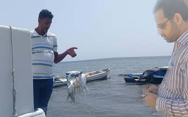 سعودی عرب: بحیرہ احمر میں ناجل اور طراد مچھلیوں کے شکار پر پابندی
