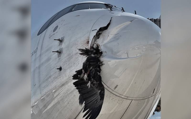 اسلام آباد سے کوئٹہ جانیوالی پرواز پی کے 325 سے پرندہ ٹکرا گیا