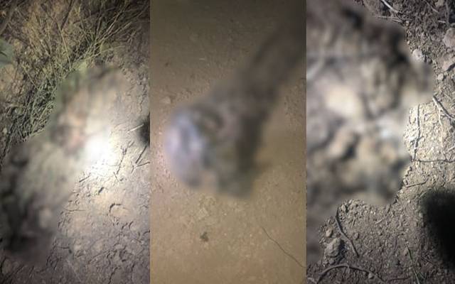  ڈیرہ اسماعیل خان میں سکیورٹی فورسز کے اینٹلی جنس بیسڈ آپریشن کے نتیجے میں 8دہشتگرد ہلاک ہوگئے۔