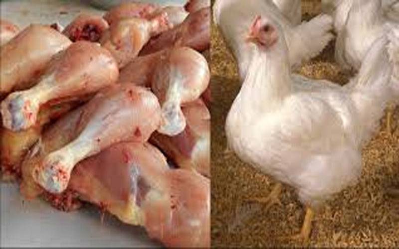 پولٹری ٹریڈرز لاہور کی ہڑتال کے باعث مرغی کا گوشت نایاب ، دکانیں بند 