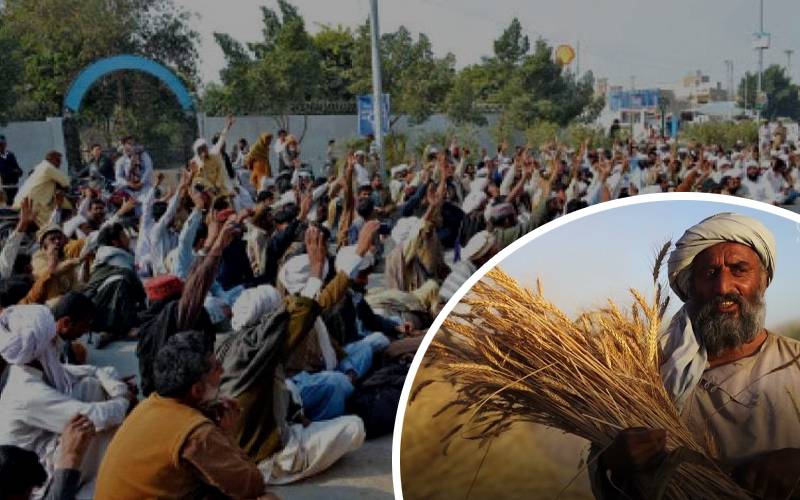 گندم کی خریداری نہ ہونے پر کسان سراپا احتجاج،صوبائی رہنماء گرفتار