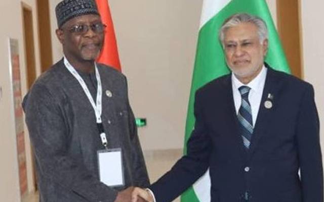 نائب وزیراعظم اور وزیر خارجہ اسحاق ڈار نے نائیجیرین ہم منصب باکاری یاؤ سنگرے سے ملاقات کی، اس  دوران دونوں رہنماؤں نے اقتصادی میدان میں تعاون کو مزید مضبوط بنانے پر اتفاق کیا۔