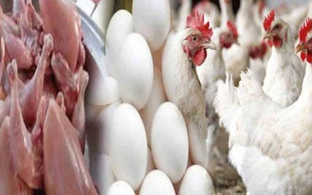 برائلر مرغی کے گوشت کی قیمتوں میں اتار چڑھاؤ  کا سلسلہ جاری ہے۔ لاہور میں برائلر مرغی کے گوشت کی قیمت میں 7روپے اضافہ ریکارڈ کیا گیا ہے۔   