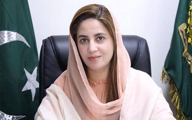 بوگس کیسز چل رہے ہیں ، دعا ہے میرٹ پر فیصلہ ہو ، زرتاج گل