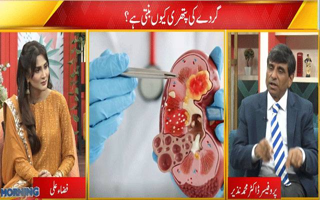  گردے میں پتھری کیوں پیدا ہوتی ہے؟