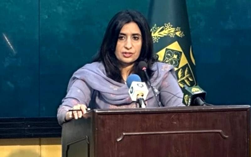 دوسروں کی نصیحت کی ضرورت نہیں ،آزادی اظہار رائے پر یورپ کے متعدد ممالک میں دوہرے معیار ہیں،پاکستان