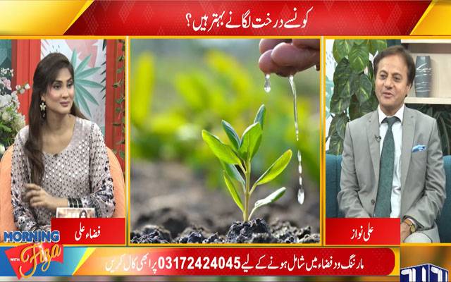 درخت لگانے کیلئے کن باتوں کا خیال رکھنا چاہیے ؟