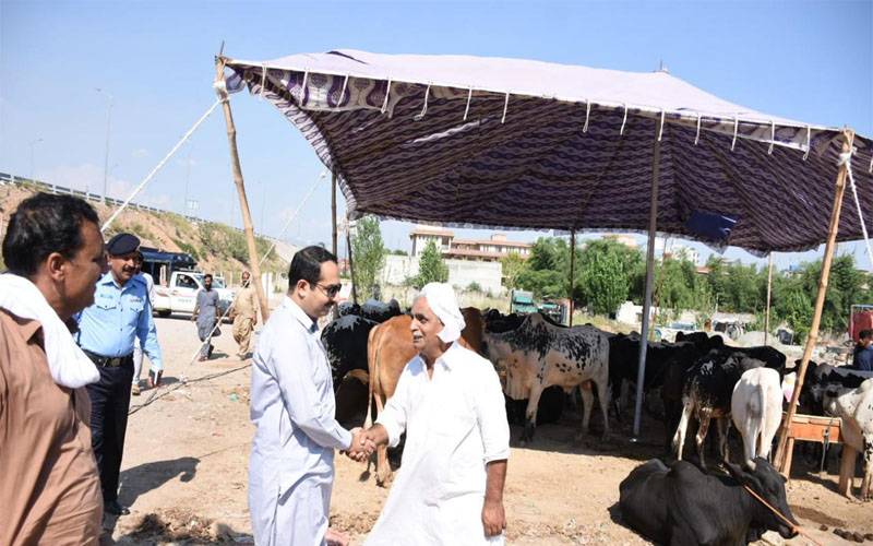 عید الاضحٰی کی آمد ،شہر اقتدار کے 5 مقامات پرمویشی منڈیاں سج گئیں