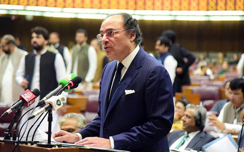 پٹرولیم لیو ی فوری نہیں بتدریج لاگو کی جائے گی:وفاقی وزیر خزانہ 