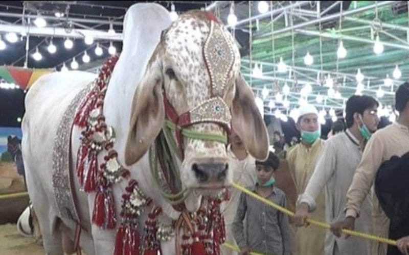 راولپنڈی کا 