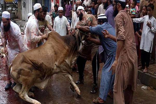 ملک بھر میں عیدالاضحیٰ آج مذہبی جوش وجذبے سے منائی جا رہی ہے