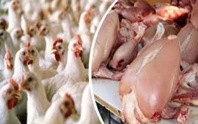 مرغی کے گوشت کی قیمت میں پھر اضافہ